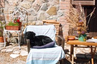 Casale Pundarika - 5