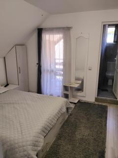 Vila Giulia Voineasa - 8