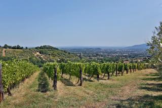 Bertolli Villas - 4
