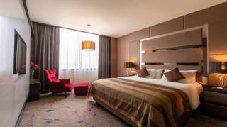 New World Suites - 7