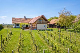 Deer's Hill - Sauna, Hot Tub, Garden - Happy Rentals - 0