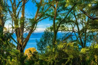 Treetops-Large Home 9km to CBD Sleeps 10 - 6