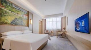 Vienna Hotel Shenzhen Pingshan Longtian Town - 4