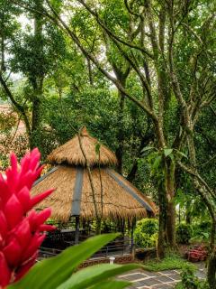 Janani the slyvara springs coorg - 4