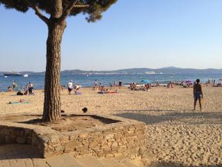 Studio Les Roses Marines - Sainte-Maxime - 3