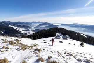 Sonnenchalets Murau by ALPS RESORTS - 5