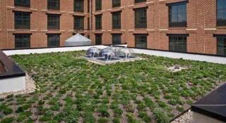 Inn & Suites Baltimore Downtown/Inner Harbor -  - 2