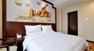Vienna Classic Hotel Zhangzhou Longchi Center - 6