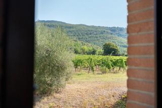 Agriturismo Tiberio - 8