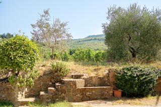 Agriturismo Tiberio - 6