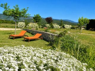 Gite vue sur les lavandes Mont Ventoux, Sault - 2