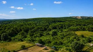 Green Roof Boutique Hotel & SPA Istanbul Airport - Durusu - 5