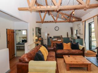 Burrows - 4