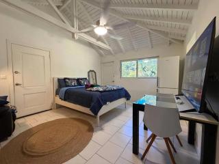 Charming studio Saint-Martin 30 m², garden - 8