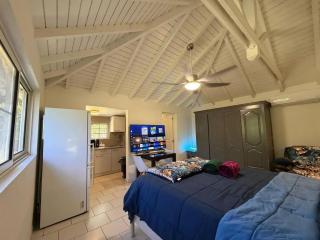 Charming studio Saint-Martin 30 m², garden - 7