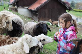 Flackl - Wirt - Reichenau - 8