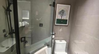 GreenTree Inn Puyang Fan County People Avenue Banqiao Road Hotel - 1