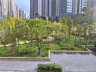 스테이포레 - 4