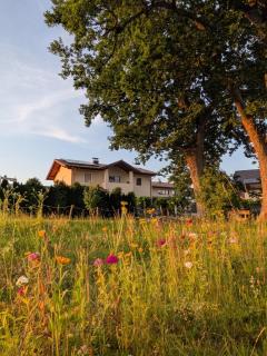 Ferienparadies Hafner - 9