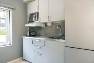 Freshly Renovated Studio Apartment 20min to City - 7