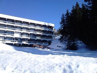 Les studios de Chamrousse 1750 - Le Bellevue - Chamrousse - 1
