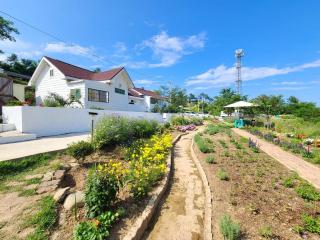 Goseong Maris Pension - 6