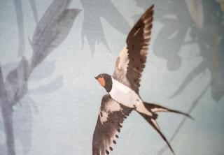 Il Drago di San Giorgio - Boutique Rooms & Kitchen - 2