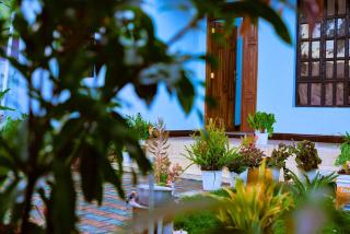 Meru View BnB - 7
