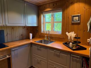 Cozy Cabin With Ski Trail Access - 5
