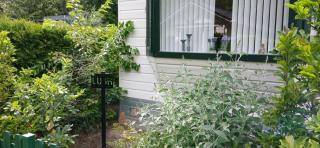 Chalet LUSH in Drenthe - 1