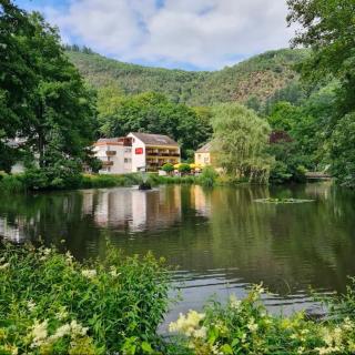 Hotel-Café Residenz Bad Bertrich - 5