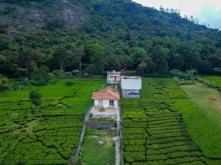 Bagaan - Tea Plantation Stay, Ooty - 1