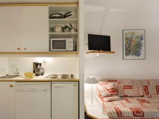 Studio cabine 4 pers au pied des pistes avec animaux admis - FR-1-181-2244 - 2