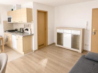 Komfortapartment an der Forellenschänke - 2