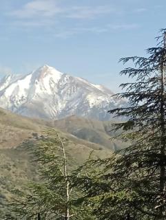 Gîte Ecotouristique Lalla Khadidja - 4