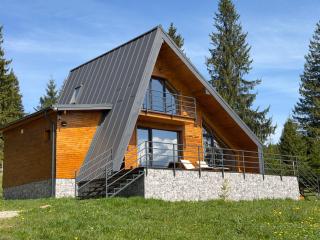 Carpathic Chalet - 9
