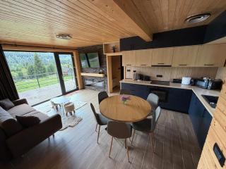 Carpathic Chalet - 2