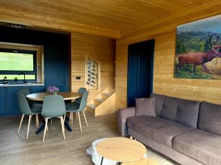 Carpathic Chalet - 4