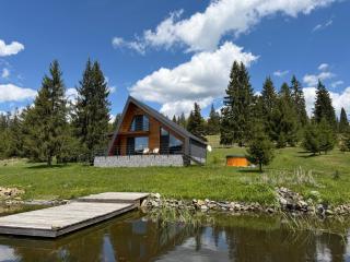 Carpathic Chalet - 0