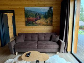 Carpathic Chalet - 5