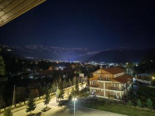 Cozy Mountain View Apartment Bakuriani Residence #105 - 1