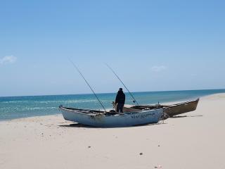 El Jarra - 1
