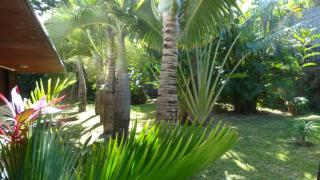 Vue mer et montagne dans jardin tropical - 6