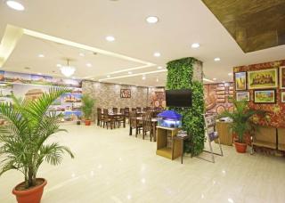 The D'Capitol Delhi, International Airport with Free Airport Drop - 3