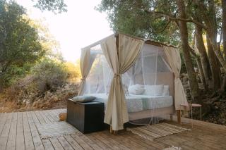 Star Sleep Vamos Chania - 8