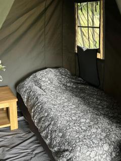 Camping Pieterom - De Drentse Safari - 1