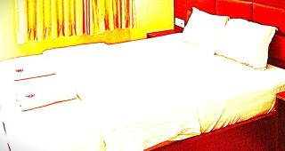 The Lush Hotel - 3