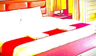 The Roi Yal Hotel In Guwahati - 5