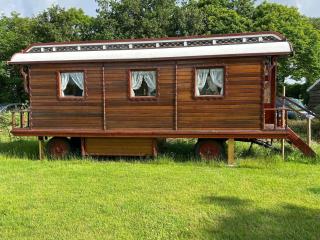 Camping Pieterom - Pipowagen - 0