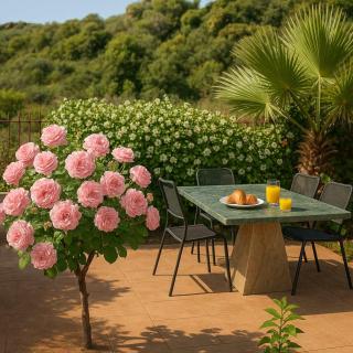 Armonia by the Sea - Majestic Seaside Retreat - 9